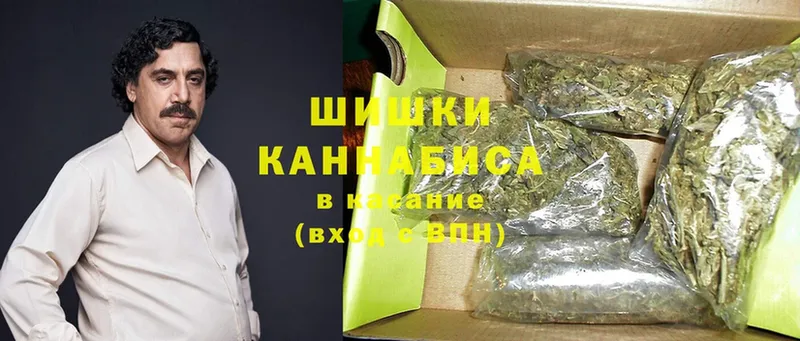 Марихуана SATIVA & INDICA  купить наркотик  Александровск 